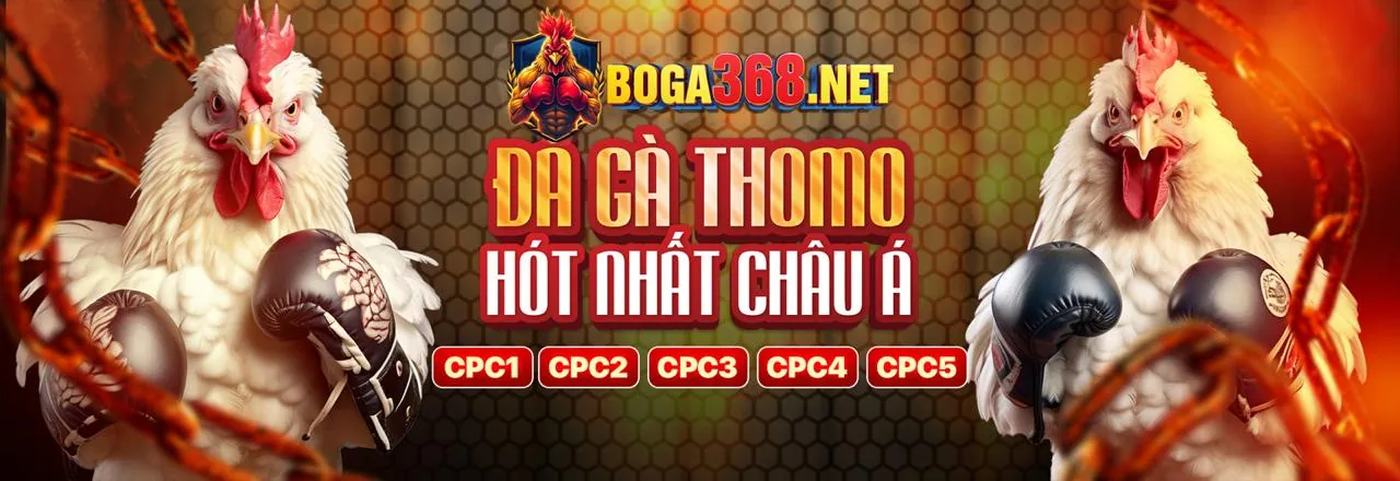 Đá Gà J888 - Khuyến Mãi Hấp Dẫn 2026